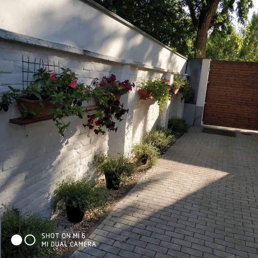 Belvarosi Apartmanszallo - Kiskunfelegyhaza Exterior photo